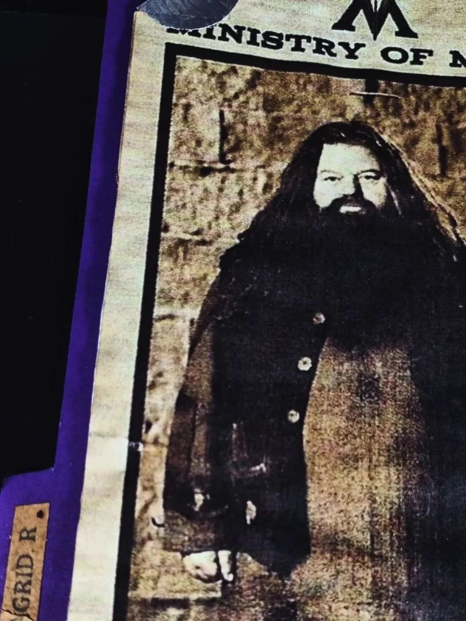 Registro de muggle-born  - Foto 3