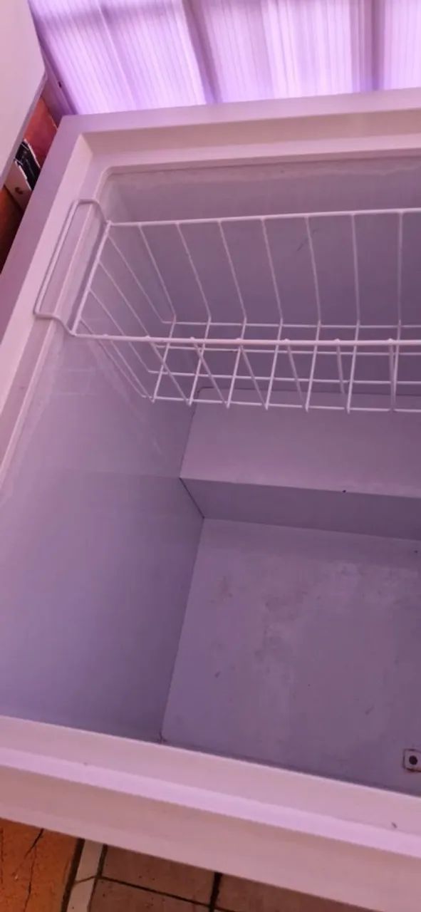 Freezer Electrolux 222h