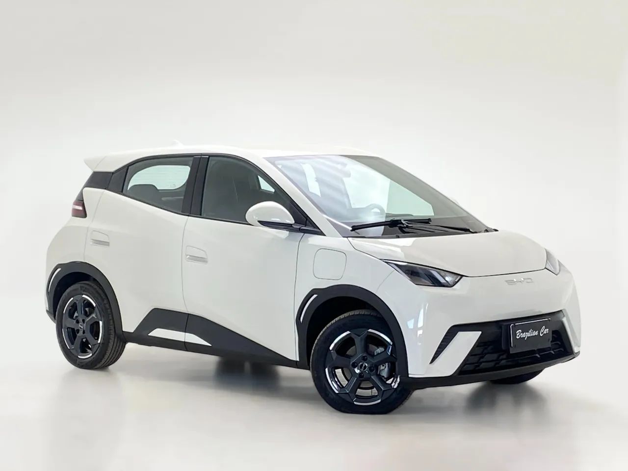 BYD Dolphin Mini (Elétrico) 2025