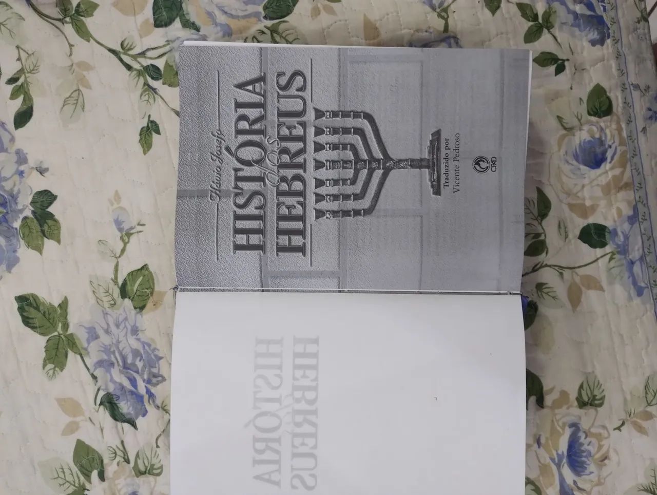História dos Hebreus  - Foto 4