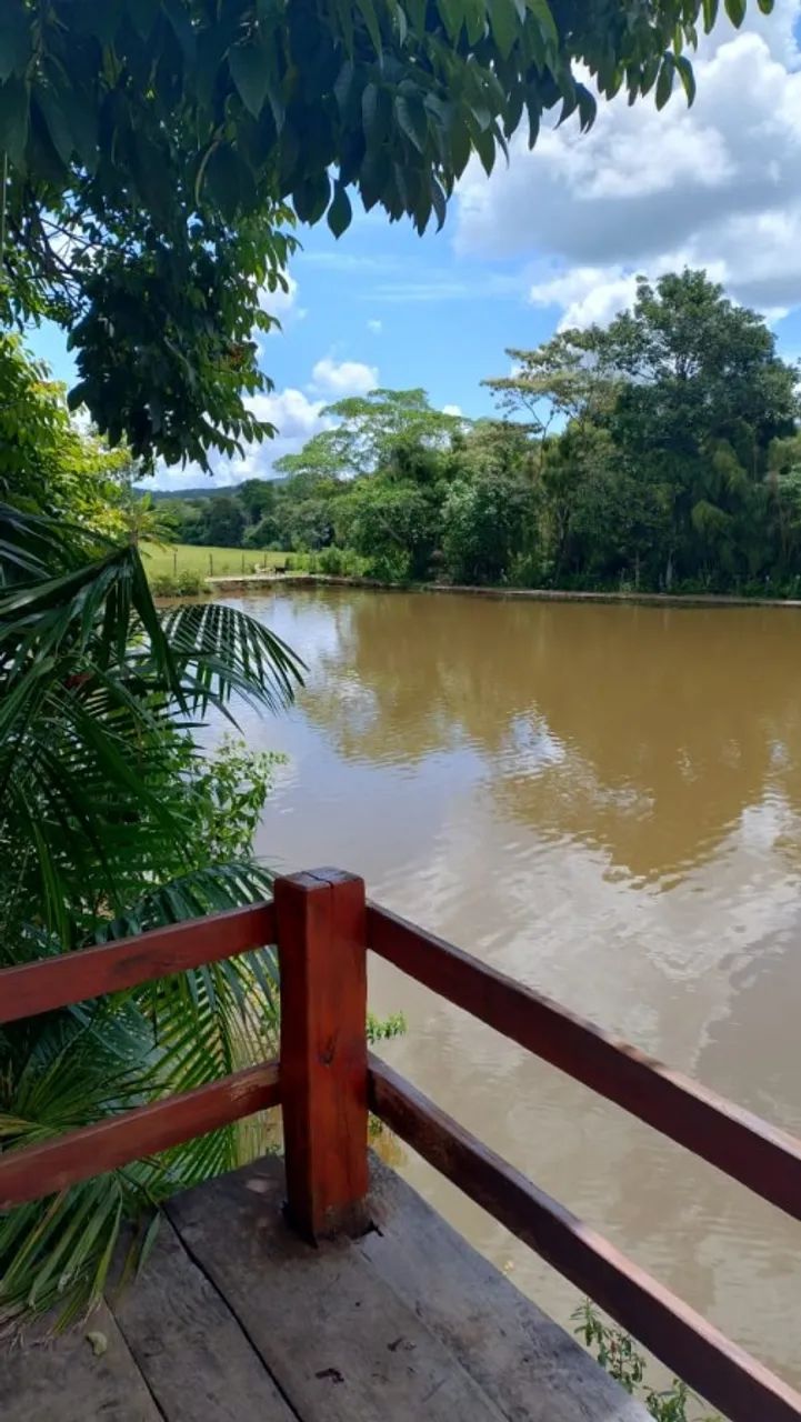Fazenda para Venda em Pirenópolis, ZONA RURAL, 3 dormitórios, 1 suíte, 2 banheiros, 3 vaga - Foto 12