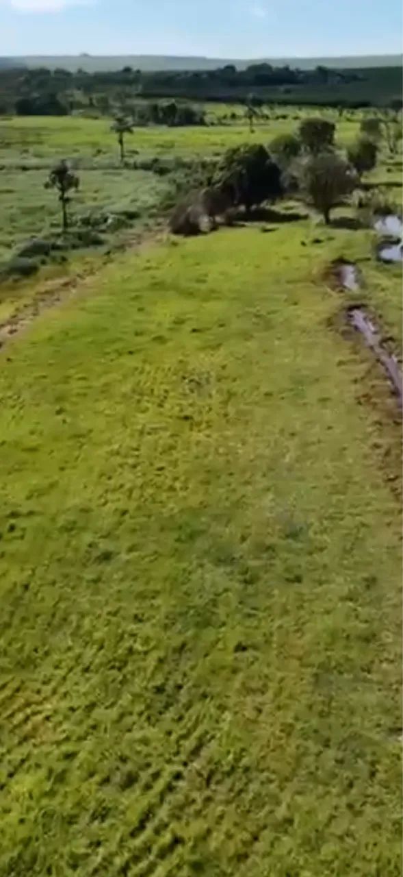 Fazenda com 48 hectares próximo Uberlândia  - Foto 4