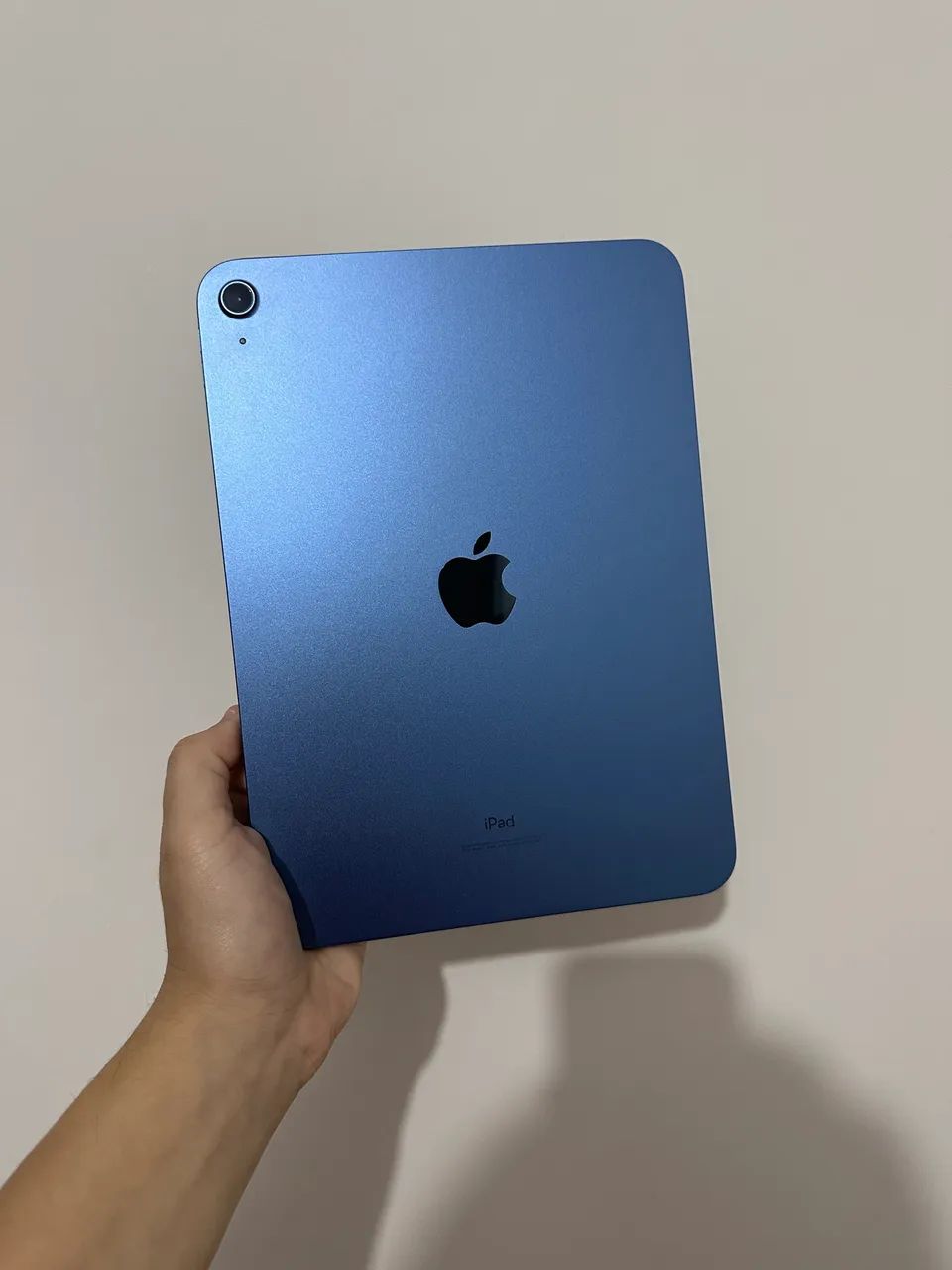 iPad 10 256g