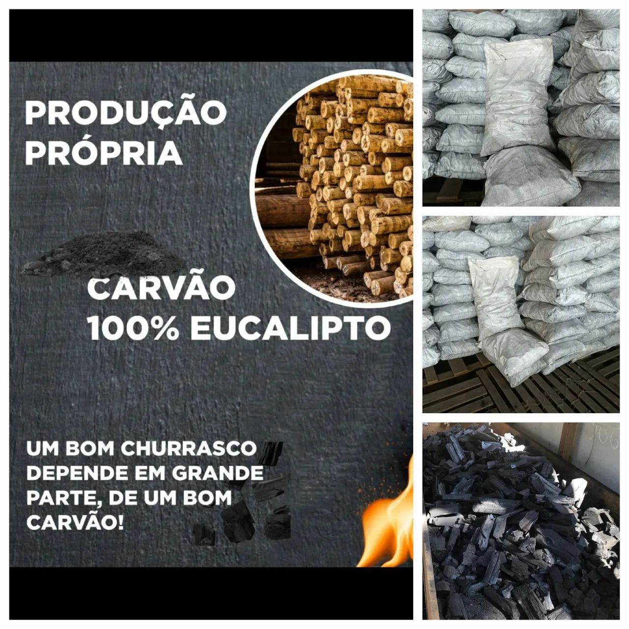 Carvão 100% eucalipto 