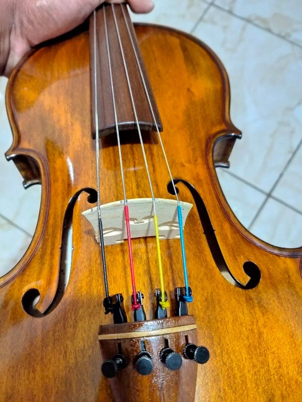 Viola 38 nova