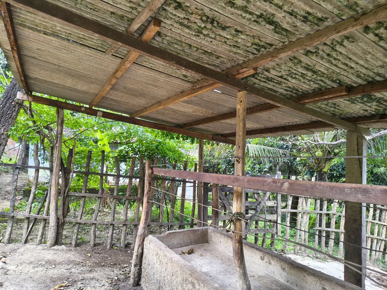 Venda de Sítio  - Foto 3