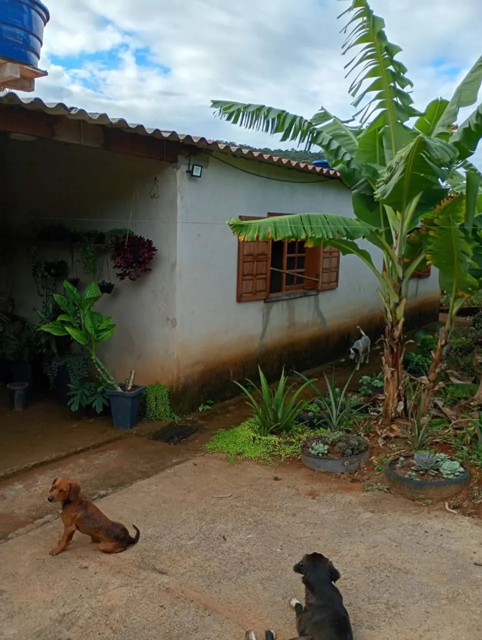 Roça, Valor negociável * - Foto 2