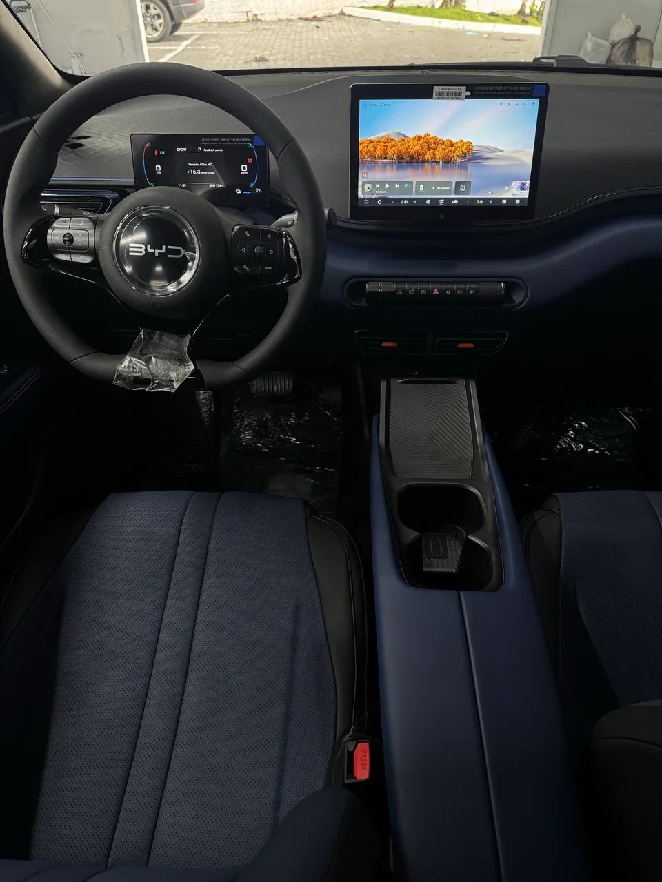 BYD Dolphin Mini GL 2027 - Foto 3