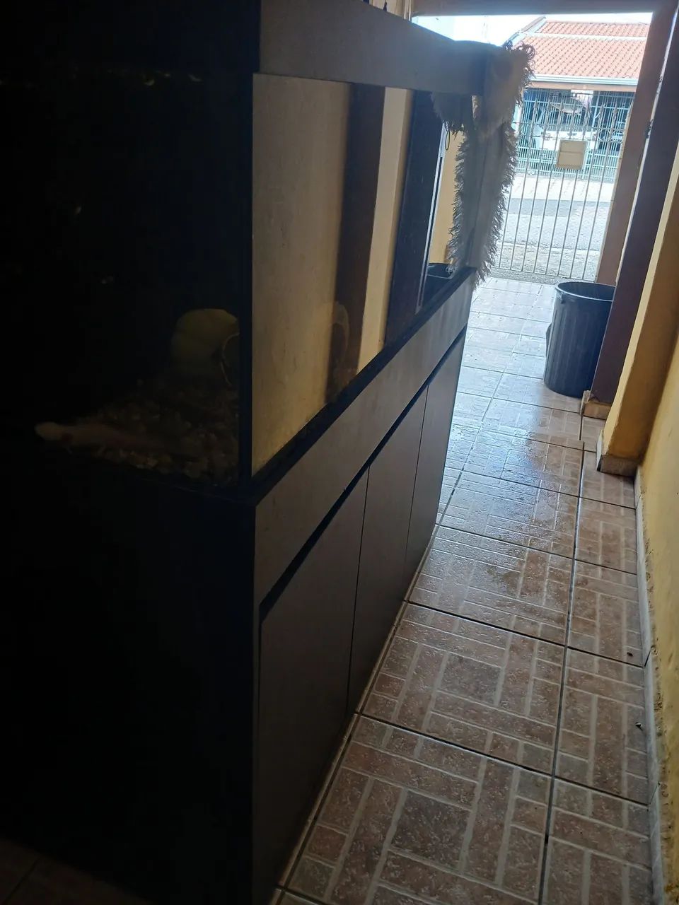 Aquário COMPLETO - Foto 2