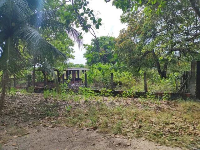 Excelente Sitio em Pacajus - Foto 2