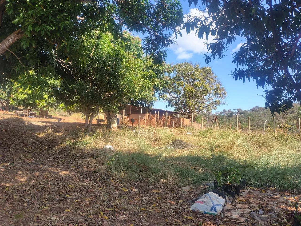 FAZENDINHA - PRÓXIMO DE MONTES CLAROS  - Foto 3