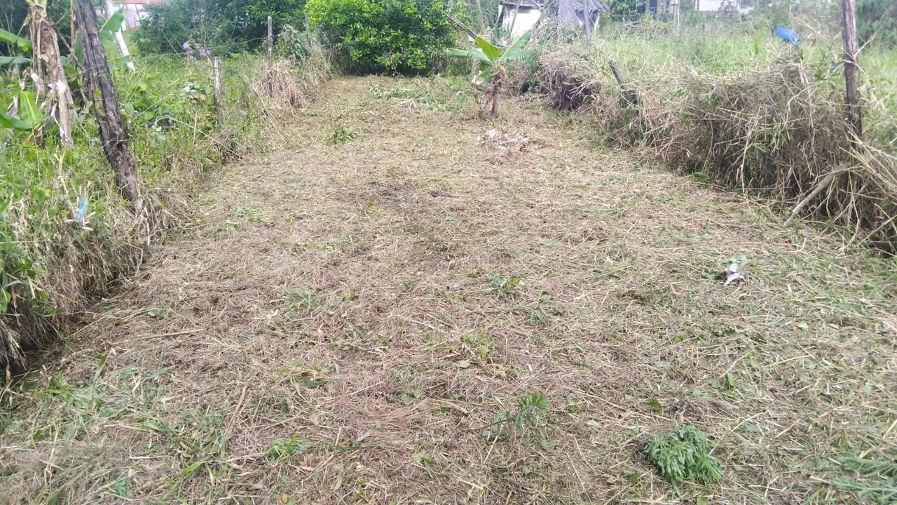 Terreno  - Foto 4