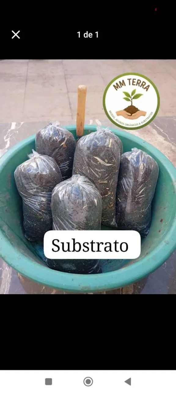 Vendo