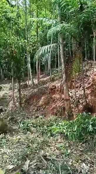 Vendo terreno em Marechal Floriano  - Foto 4