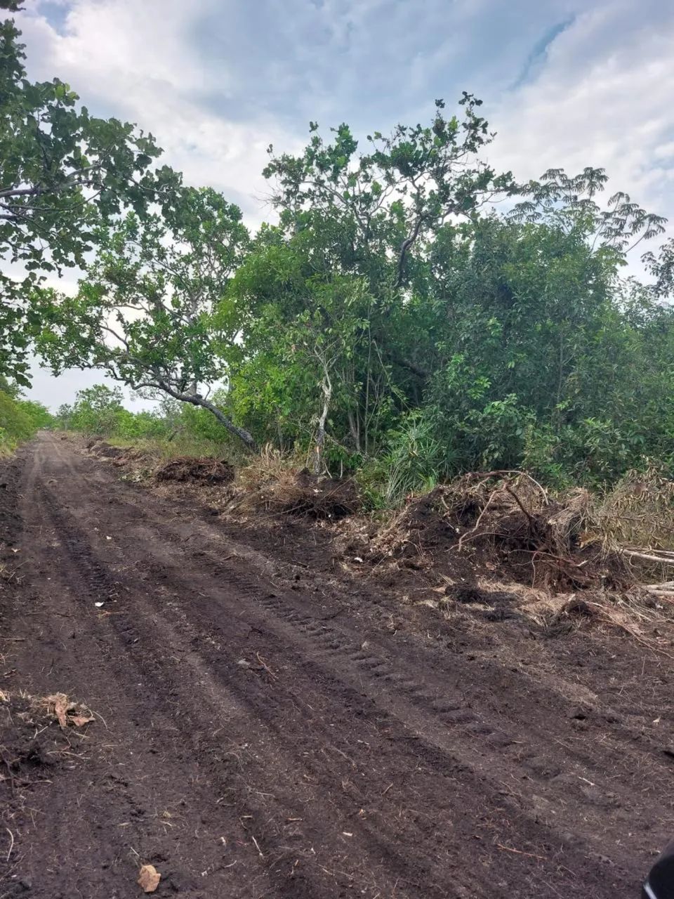 Oportunidade 302 Alqueires divide com lavoura região nobre  - Foto 3