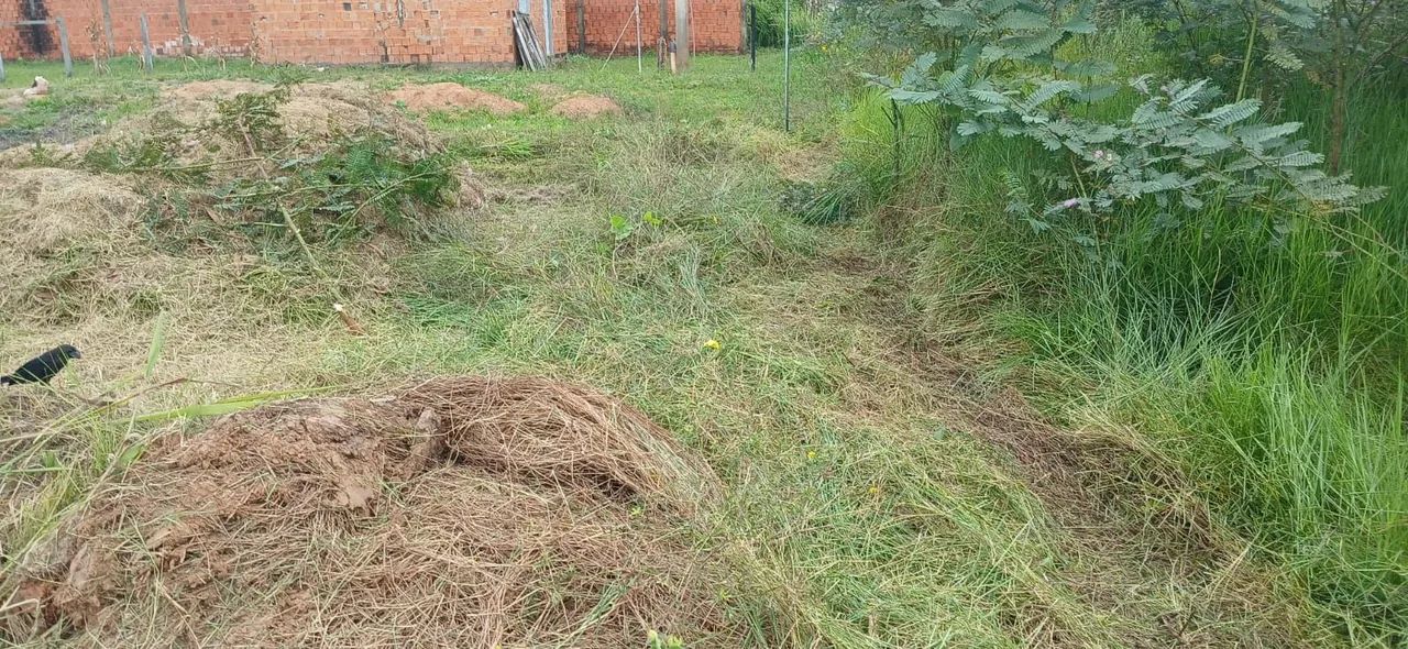 Terreno  - Foto 3