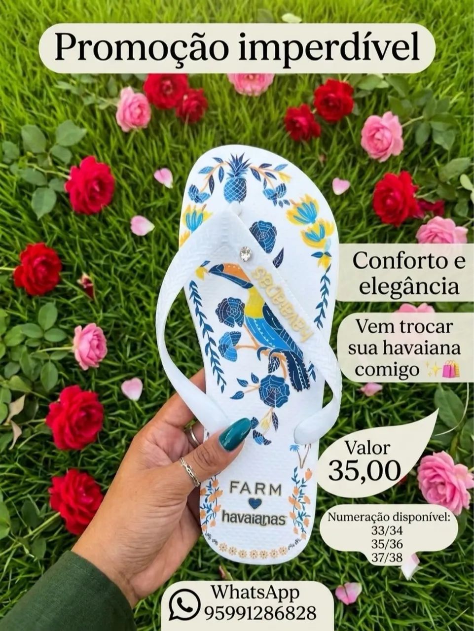Sandália havaianas 