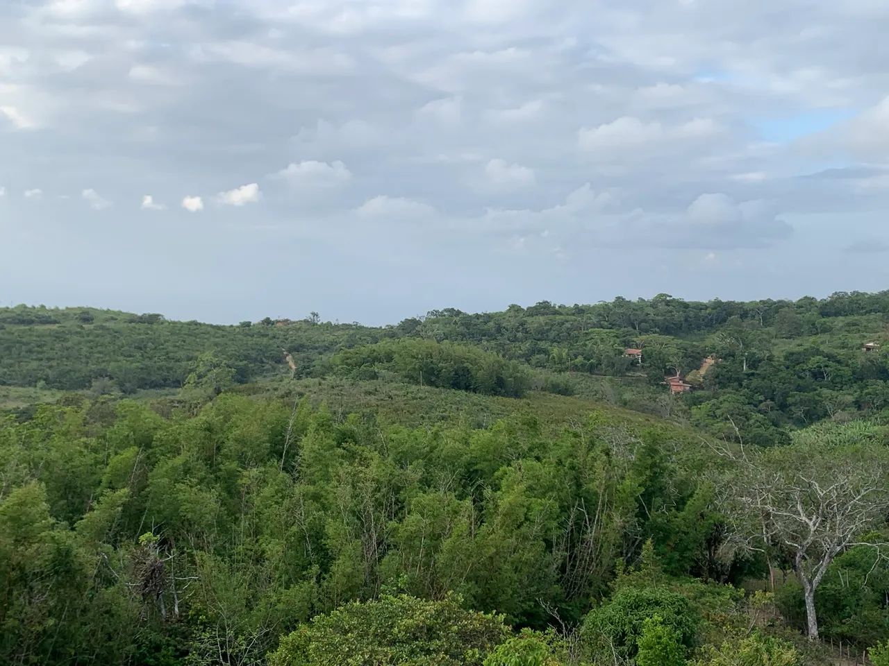 Sítio disponível a venda em guaramiranga! - Foto 2