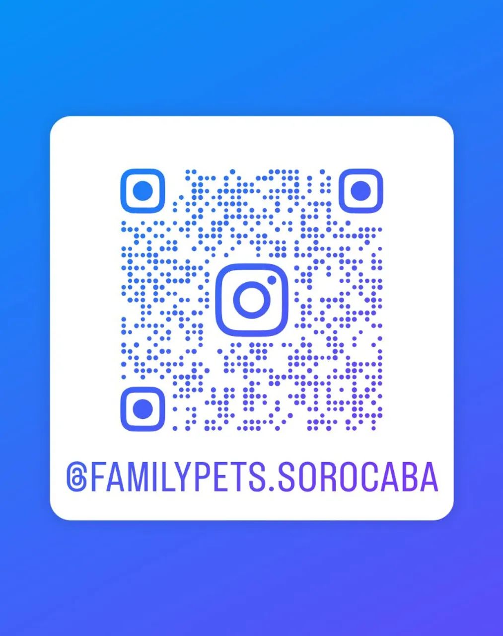 Family pets - Foto 2