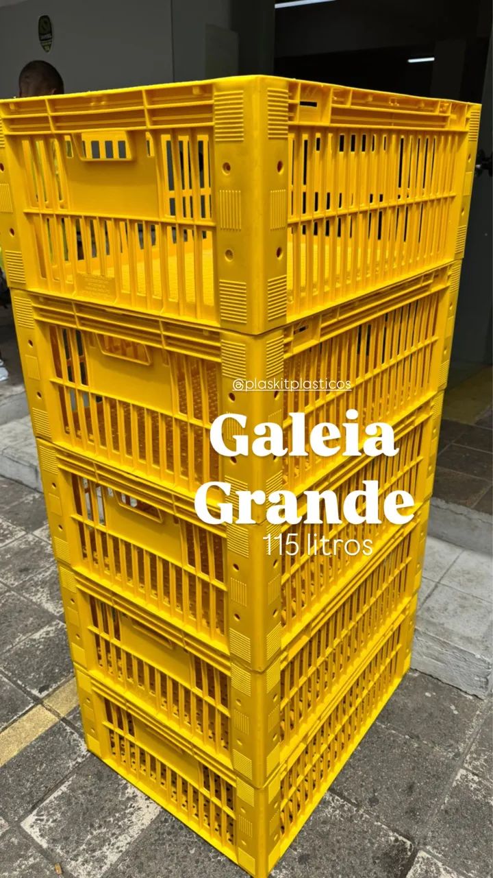 Galeia grande 