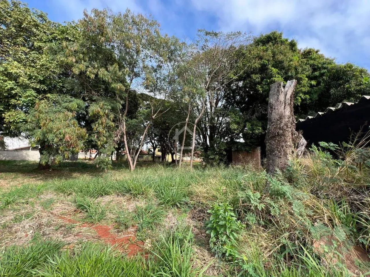OTIMO TERRENO PARA INVESTIMENTO - Foto 3