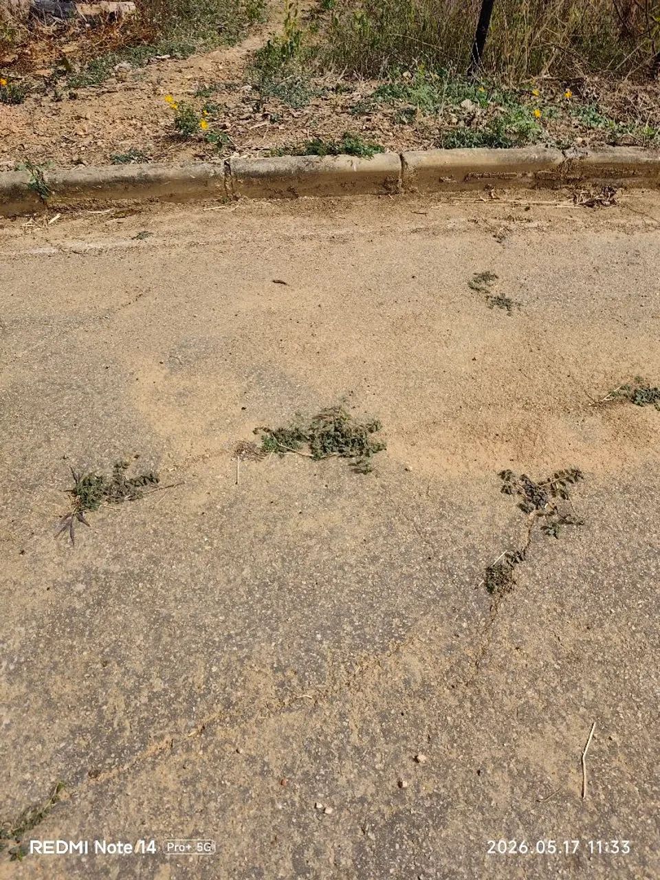 Lote 1000 m² em condomínio' - Foto 3