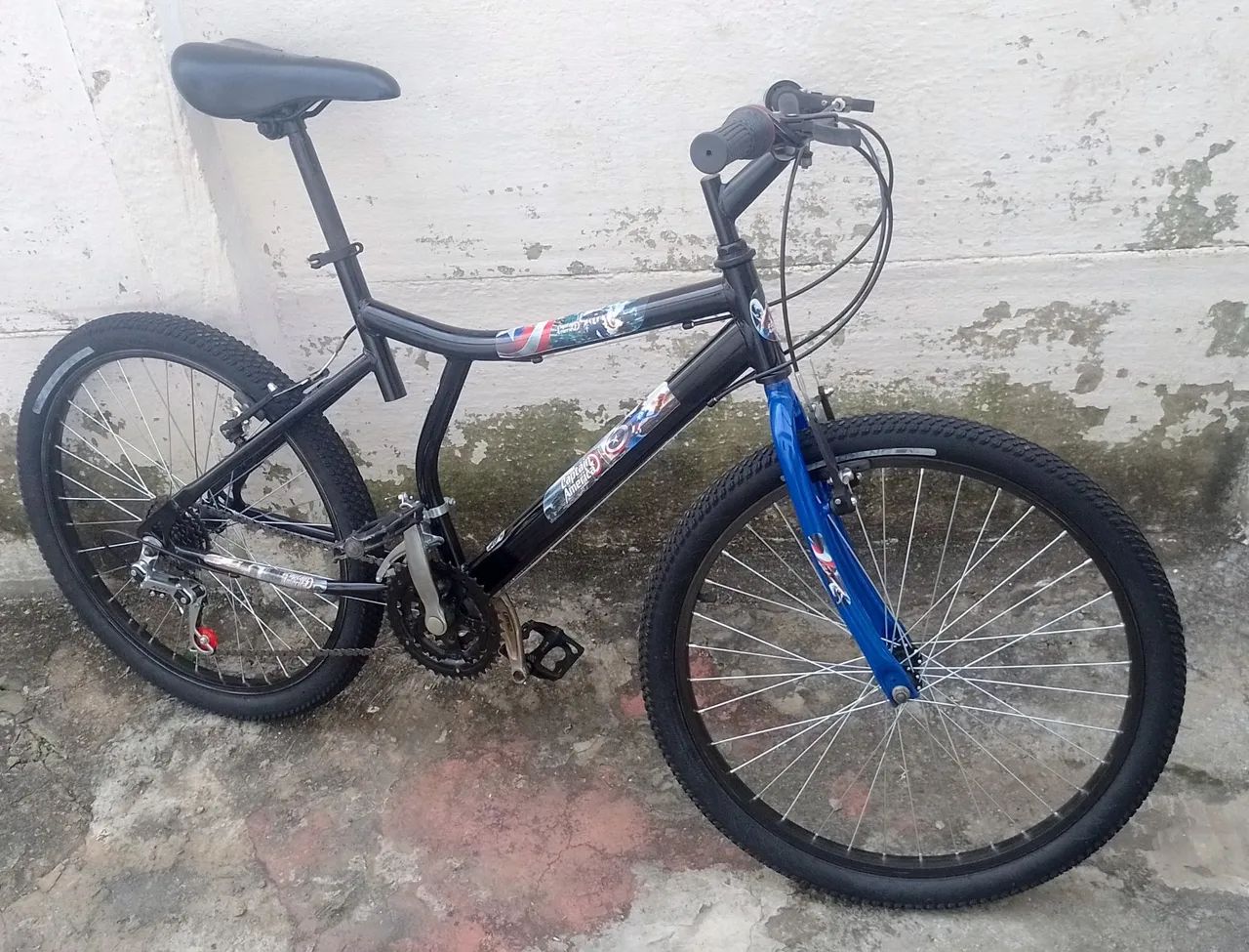 Bike Revisada ARO 24 