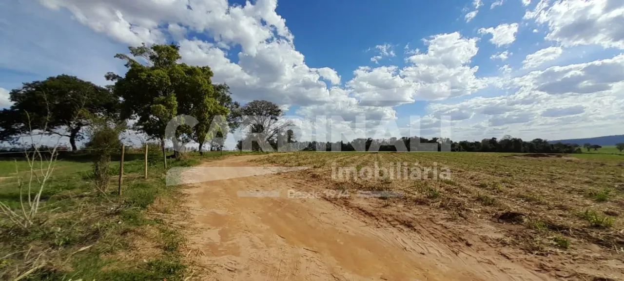 Rural Sítio em Descalvado - Foto 5