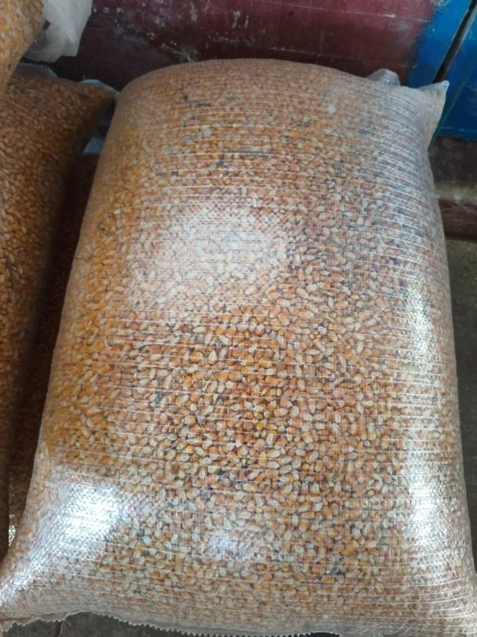 Venda de Milho e Fubá direto do produtor. Produto 2026, alta qualidade e sem cheiro!