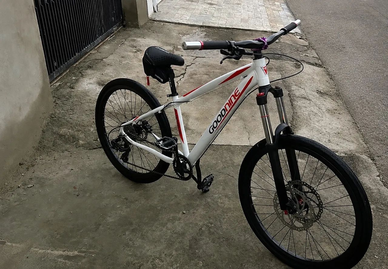 Bicicleta goodnine  - Foto 2