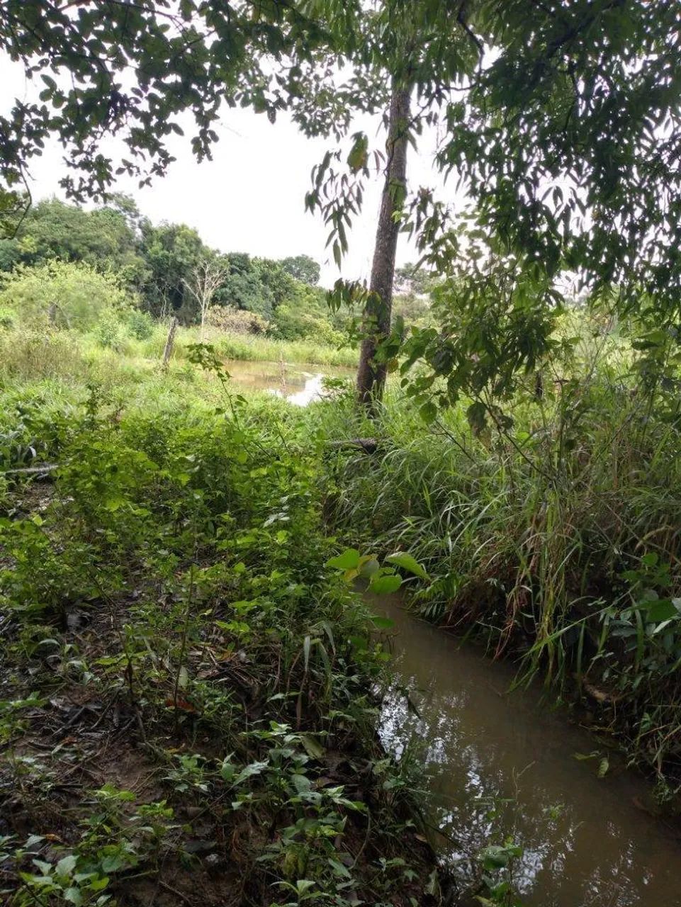 FAZENDA RURAL em Pará de Minas - Minas Gerais, Centro - Foto 5