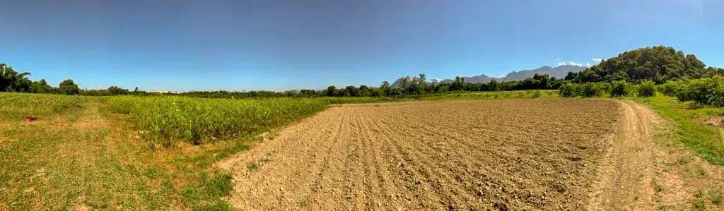 Área para venda em Piabetá - Foto 5