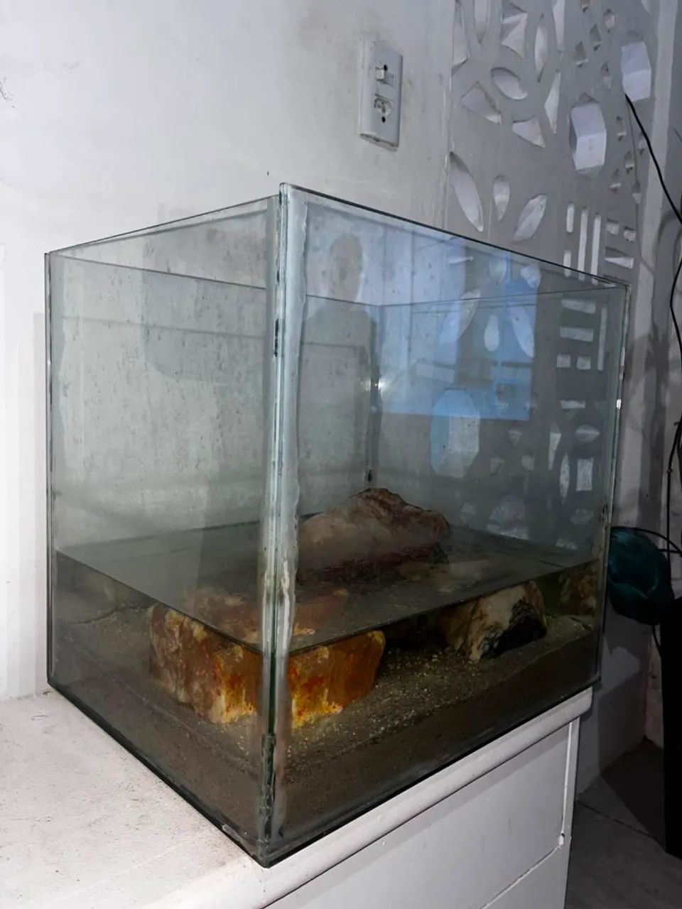 Aquário 