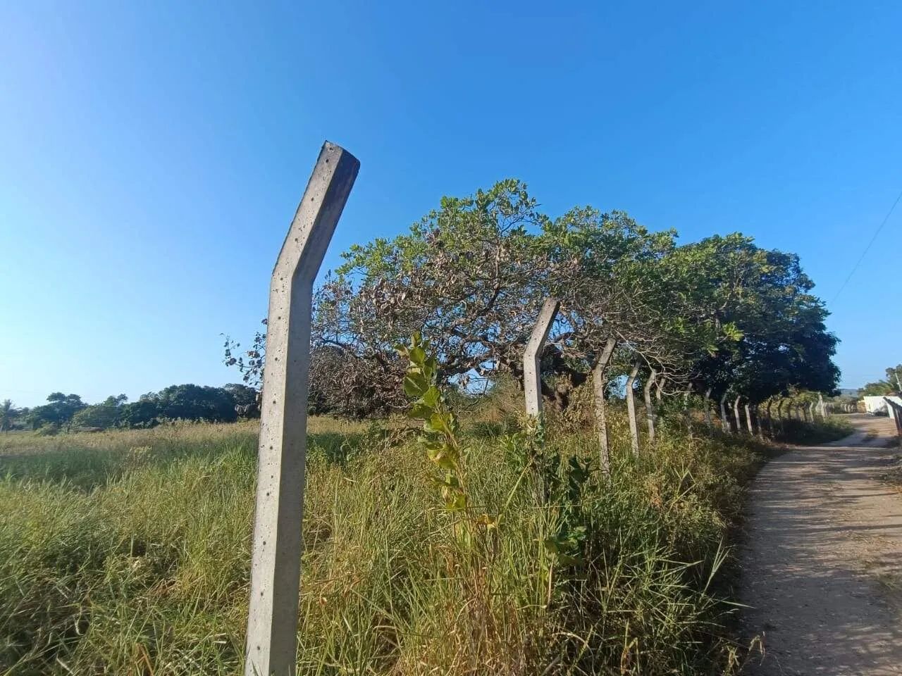 EXCELENTE SÍTIO COM 4 TAREFAS EM SÃO DOMINGOS. - Foto 4