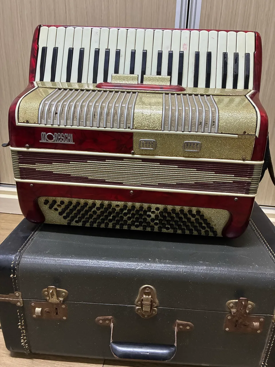 ACORDEON SANFONA MICHAEL 120 BAIXOS 4/5 VOZ HIPER NOVA