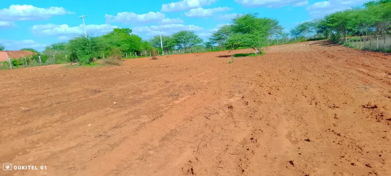 Uma tarefa em Irecê Bahia 