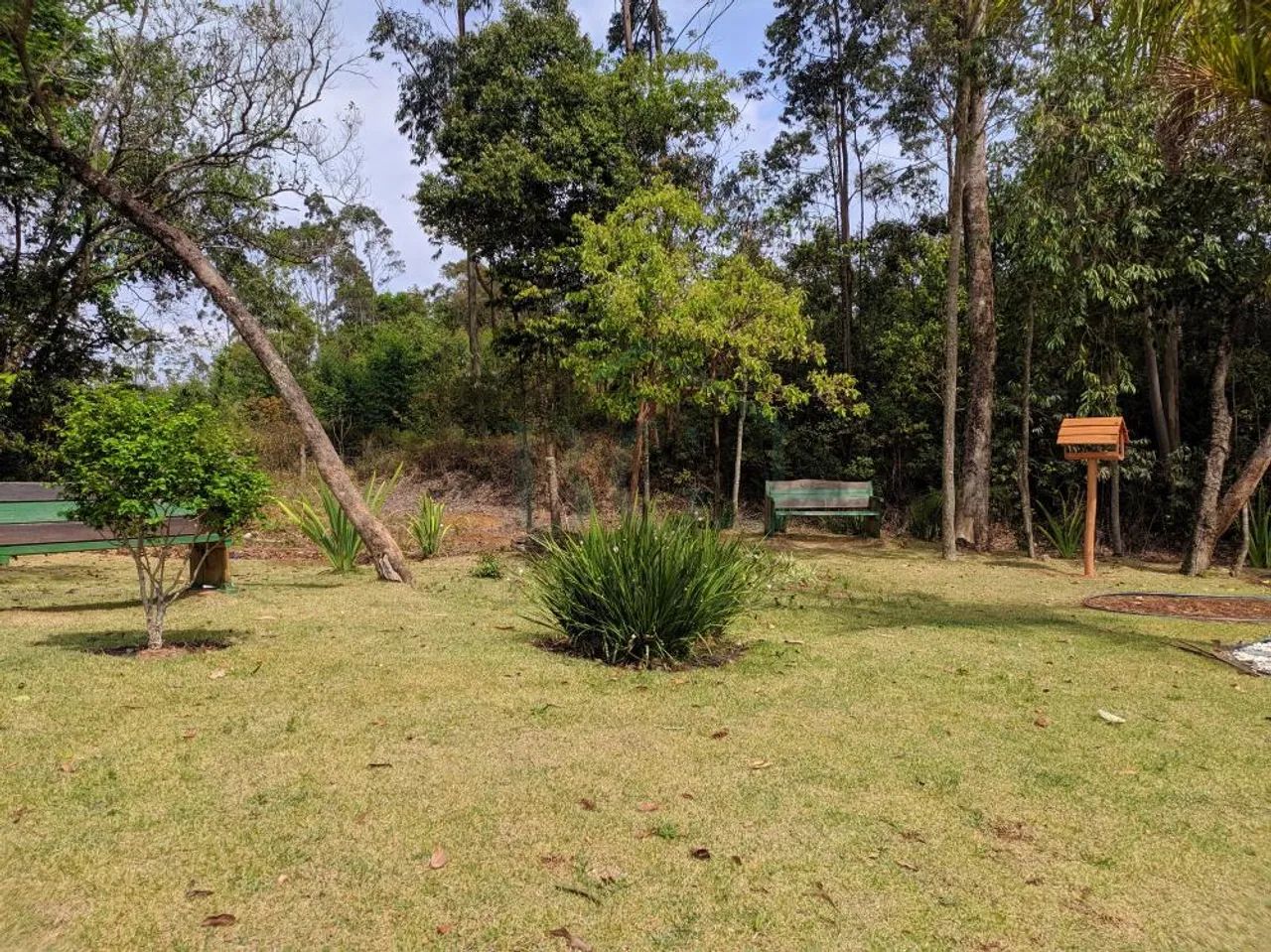 Terreno em loteamento - Foto 3