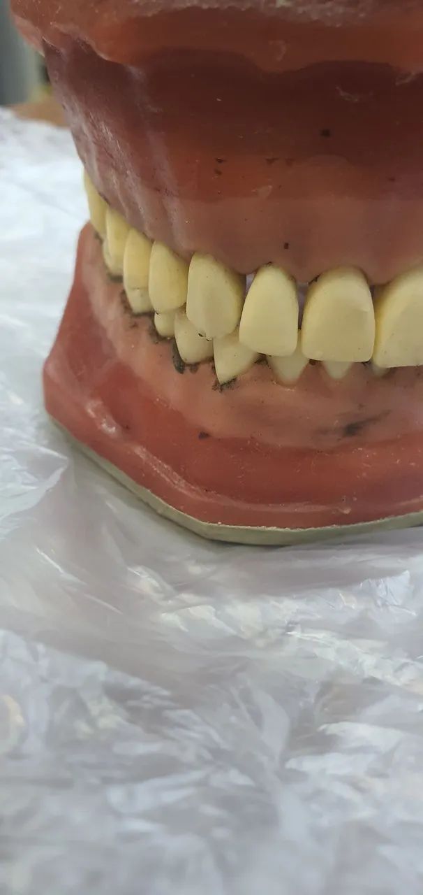 Vende modelo de odontológia - Foto 2