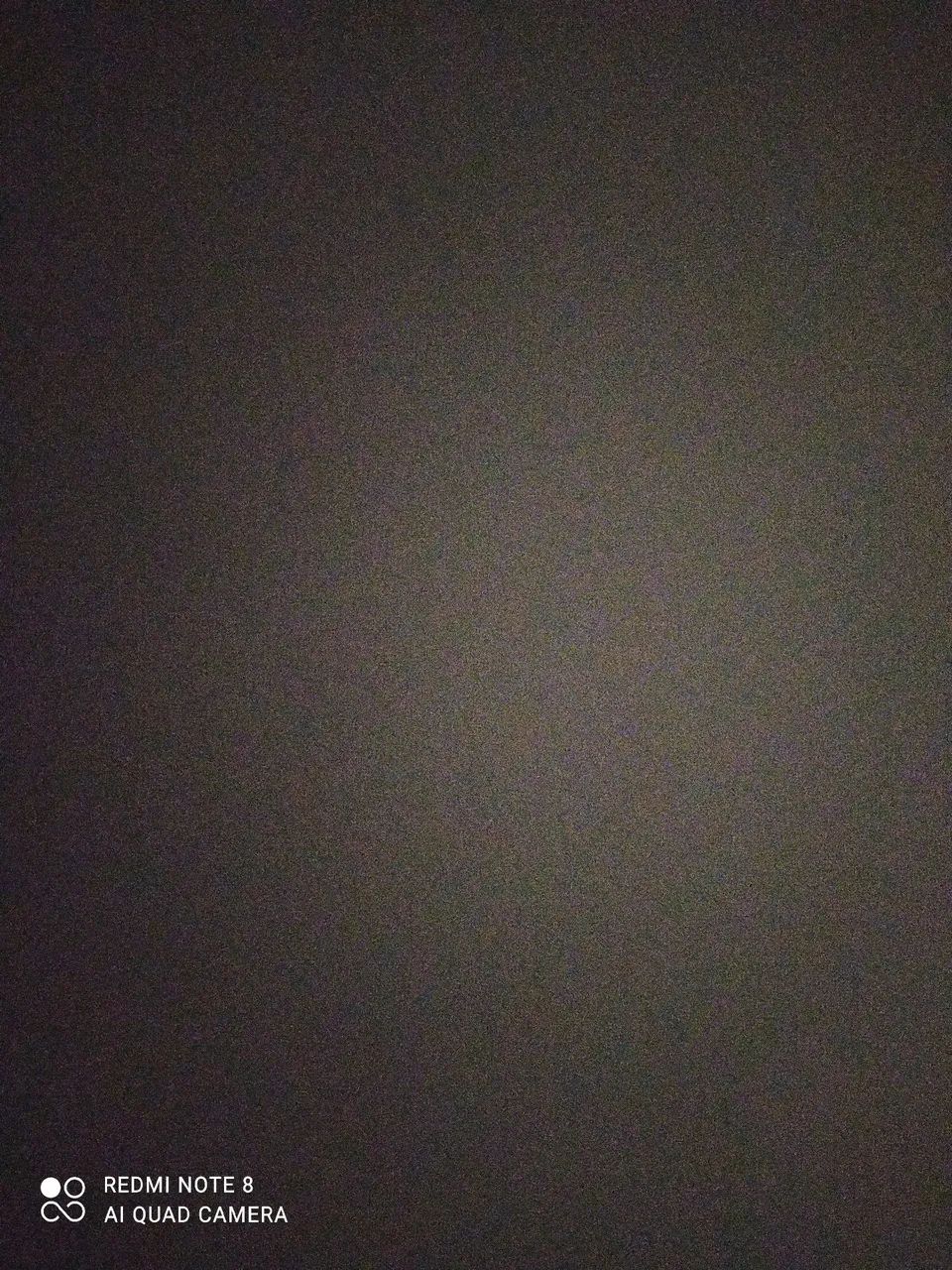 Pintor de parede profissional 