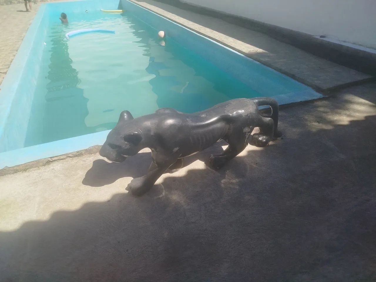 Jaguar preto  - Foto 2