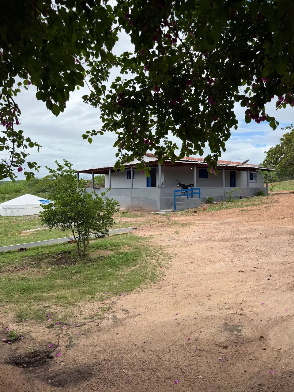 Sítio + Terreno na BR 406 - Morada Nova  - Foto 5