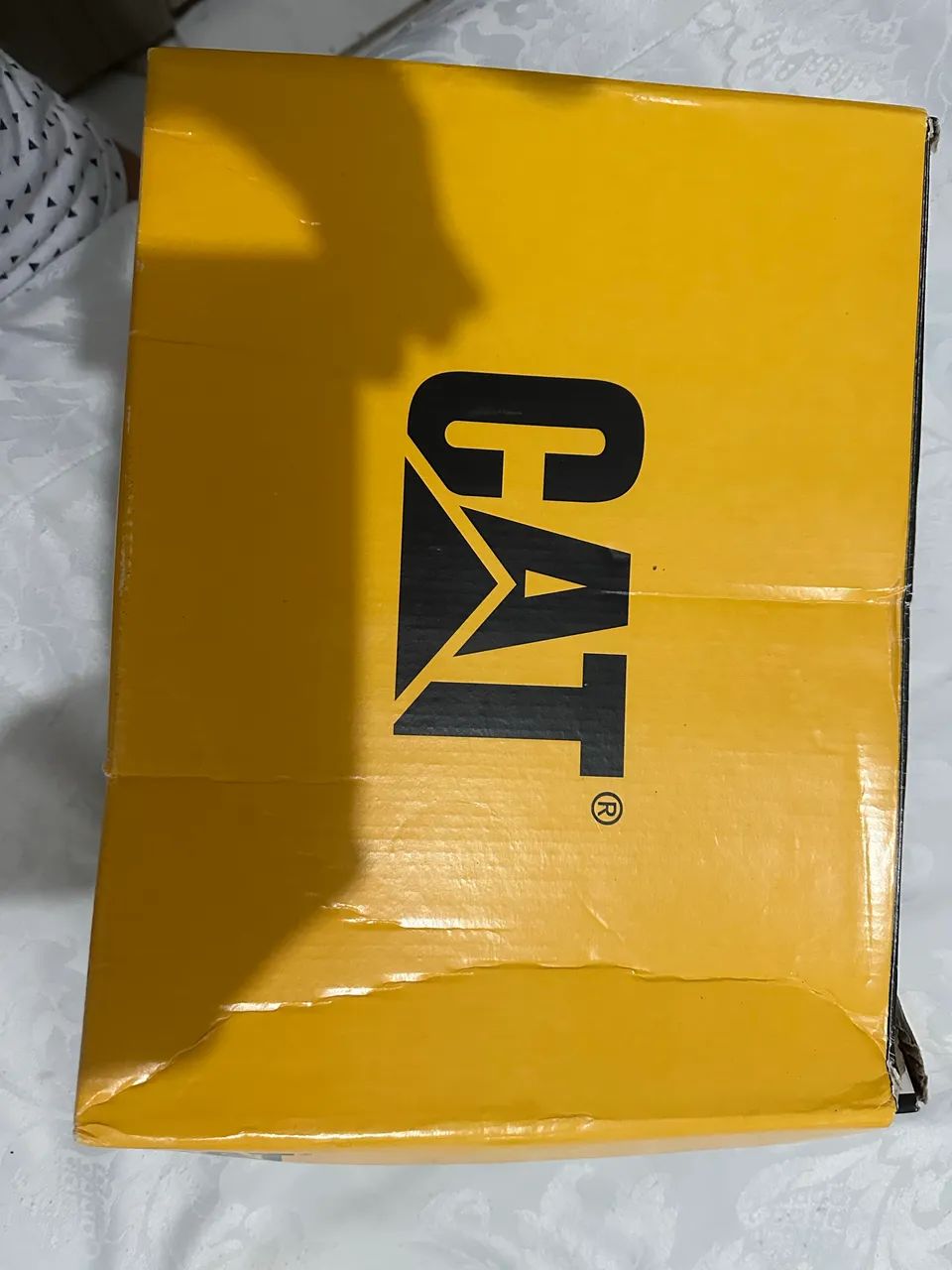 Bota da cat nova na caixa 
