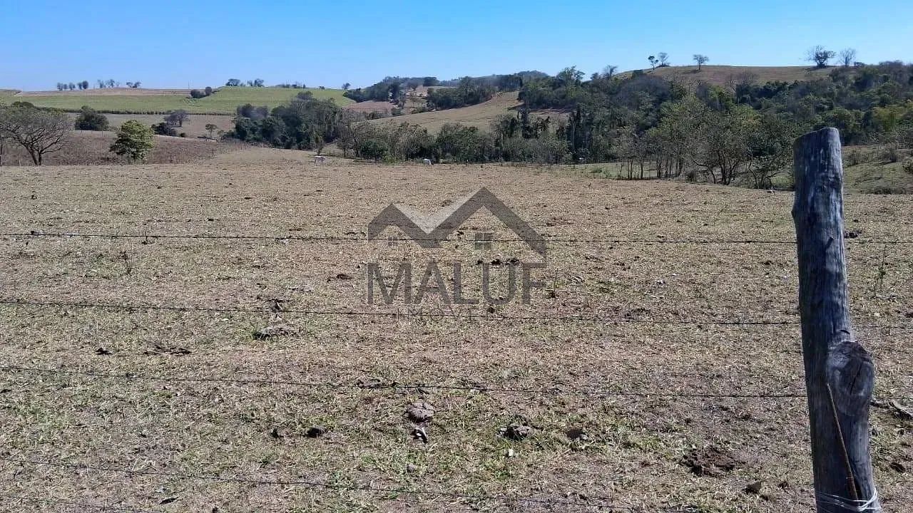 Sítio à venda em Saltinho, SP - Foto 4