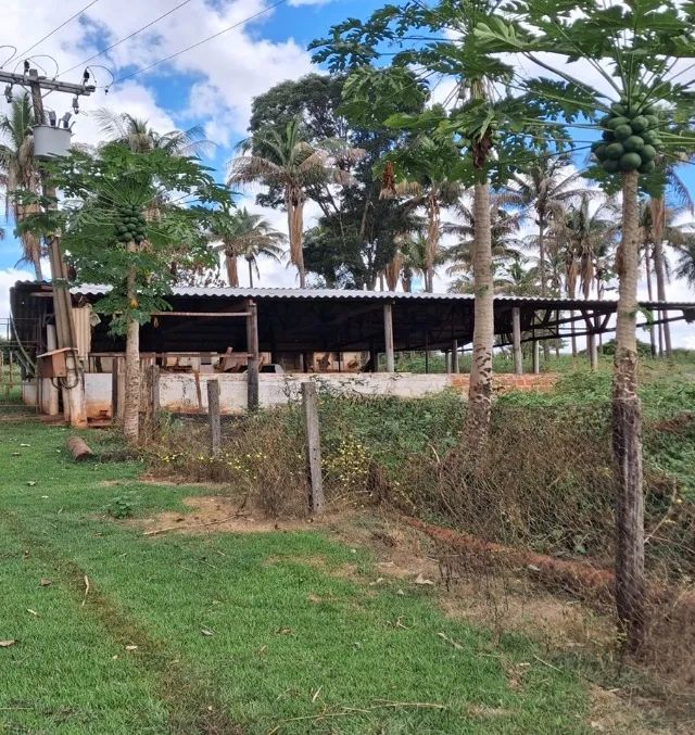 Sitio a venda sp Regiao Ribeirao Preto Sales de Oliveira montado 4.3 ha   - Foto 7