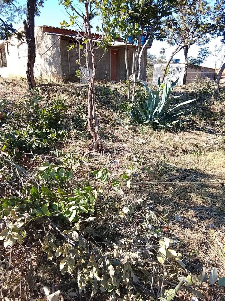 Chácara  - Foto 5