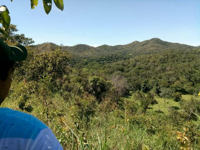 Excelente fazenda terra boa - Foto 19