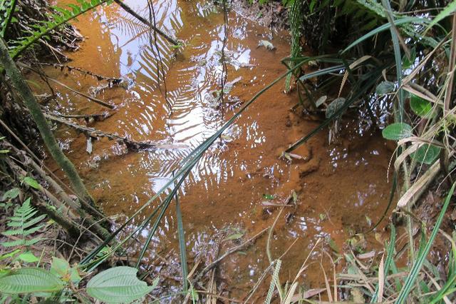 Área de planta 6 alqueires com água - Foto 2