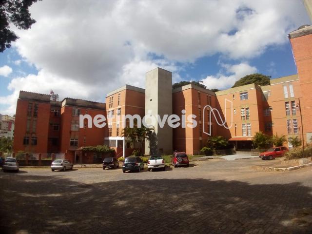 Apartamento à venda com 3 dormitórios em Estrela dalva, Belo horizonte cod:755311 - Foto 2