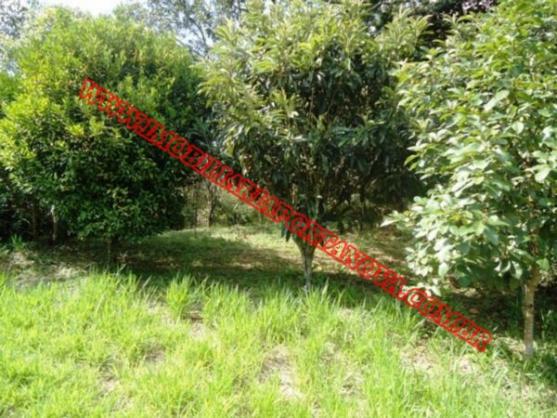 Chácara à venda em Embu mirim, Itapecerica da serra cod:4571 - Foto 9