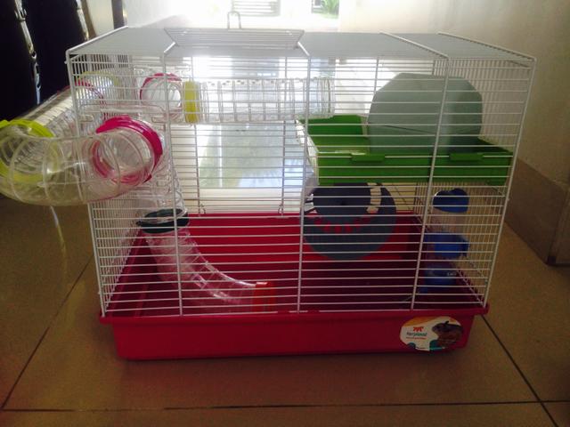 Gaiola para Hamster - Não aceito menos